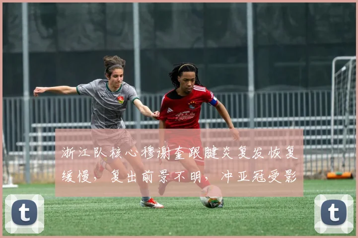 浙江队核心穆谢奎跟腱炎复发恢复缓慢，复出前景不明，冲亚冠受影响